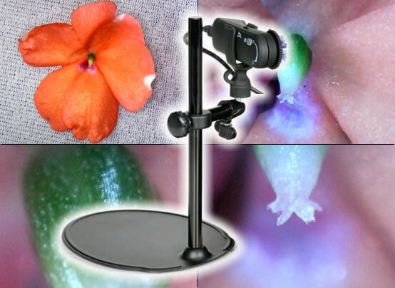 Cmara Lupa / Microscopio digital con salida USB PS-2343